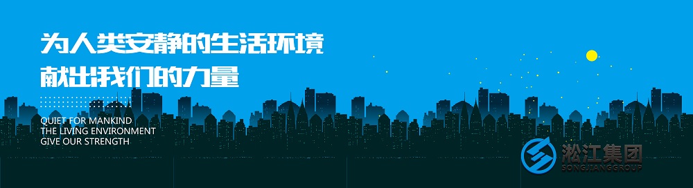 2018年波紋補(bǔ)償器檢測報告