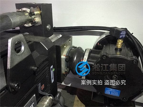 安裝現(xiàn)場注塑機液壓泵抽油橡膠避振喉“ASA NG80”